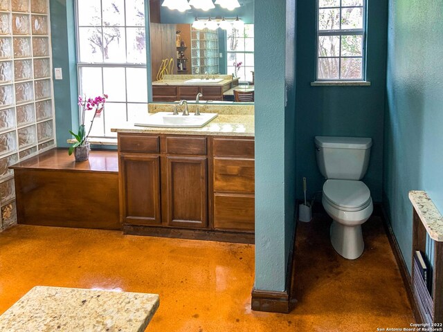 bathroom with toilet and vanity