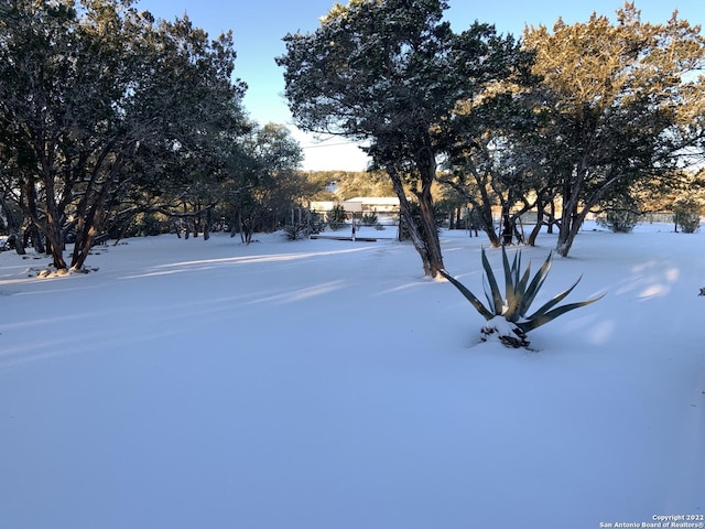 view of snowy yard