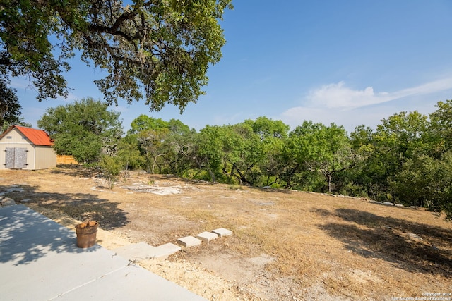 view of yard featuring a storage shed