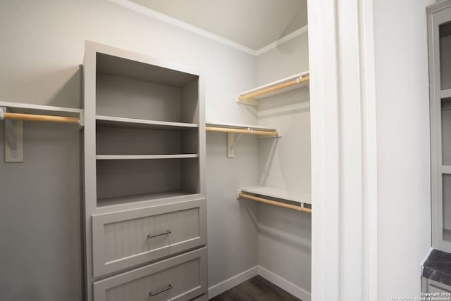 spacious closet with dark wood-type flooring