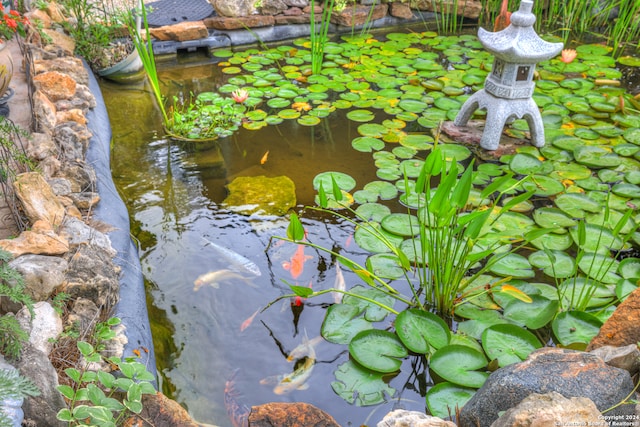 details featuring a garden pond