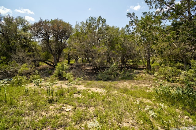 view of nature