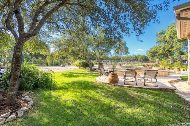 view of yard featuring a patio area