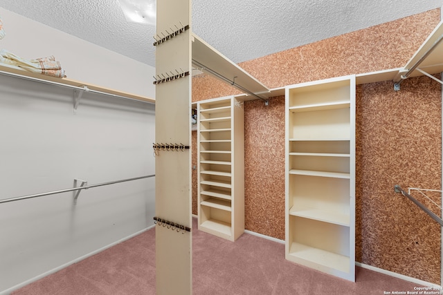 walk in closet with carpet floors