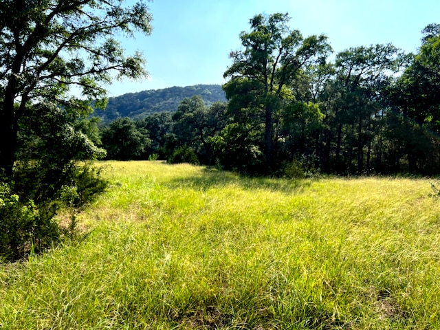 2150 The Low Rd, San Marcos TX, 78666 land for sale