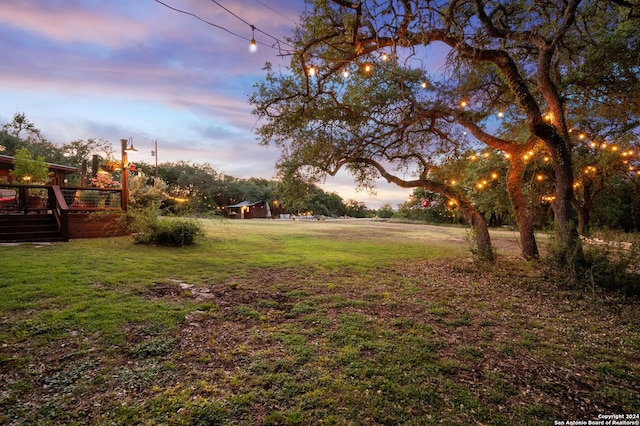 view of yard at dusk