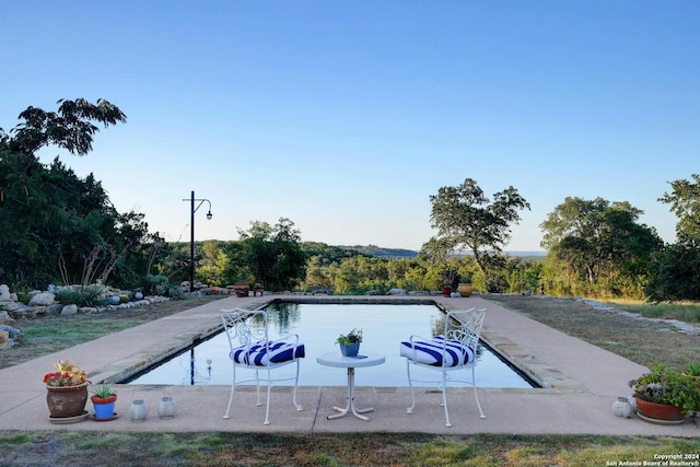 view of pool with a dock