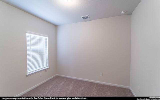 carpeted spare room featuring a wealth of natural light