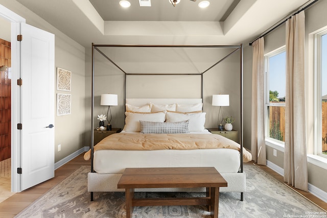 bedroom with light hardwood / wood-style flooring, a tray ceiling, and multiple windows