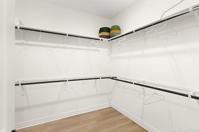 walk in closet with hardwood / wood-style floors