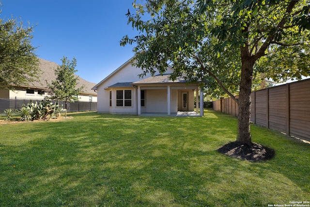 back of house featuring a yard