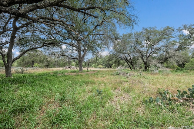 view of landscape