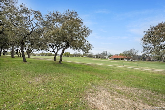 view of community featuring a yard