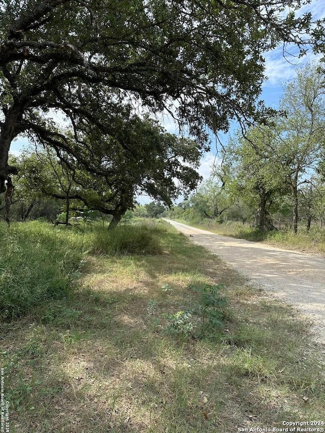 20594 S State Highway 16, Atascosa TX, 78264 land for sale