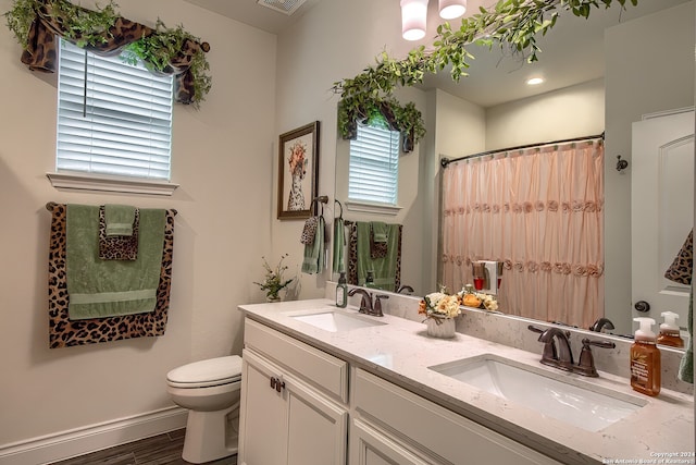 bathroom featuring vanity, toilet, and wood-type flooring