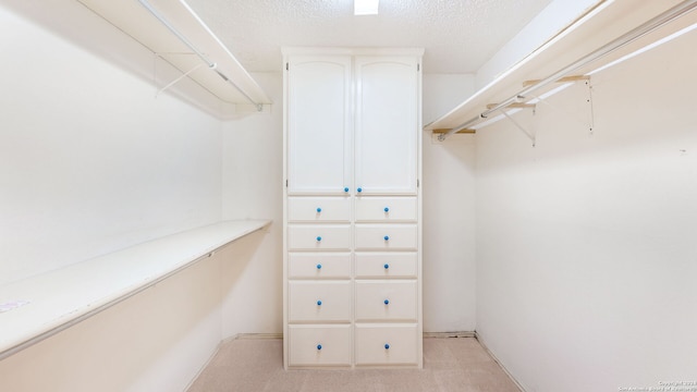 spacious closet featuring light colored carpet