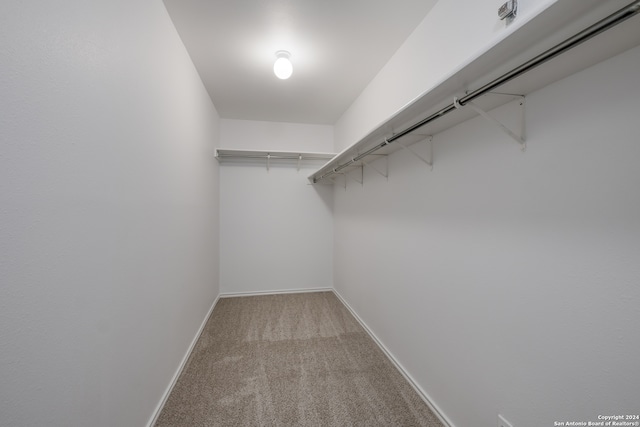 spacious closet featuring carpet flooring