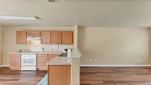 kitchen featuring wood-type flooring, sink, white electric range oven, and kitchen peninsula