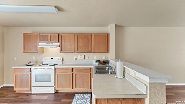 kitchen with sink, dark hardwood / wood-style flooring, and white electric range oven