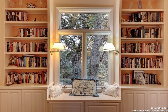 living area with built in shelves