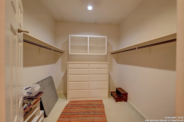 spacious closet featuring carpet flooring