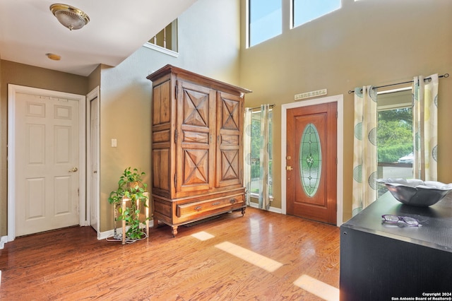 foyer featuring wood-type flooring