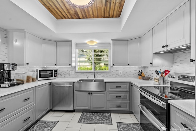 kitchen featuring gray cabinetry, a raised ceiling, stainless steel appliances, and sink