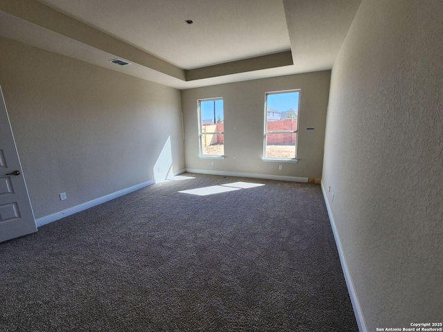 spare room with a raised ceiling and carpet