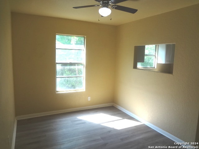 empty room with a wealth of natural light, ceiling fan, and wood-type flooring