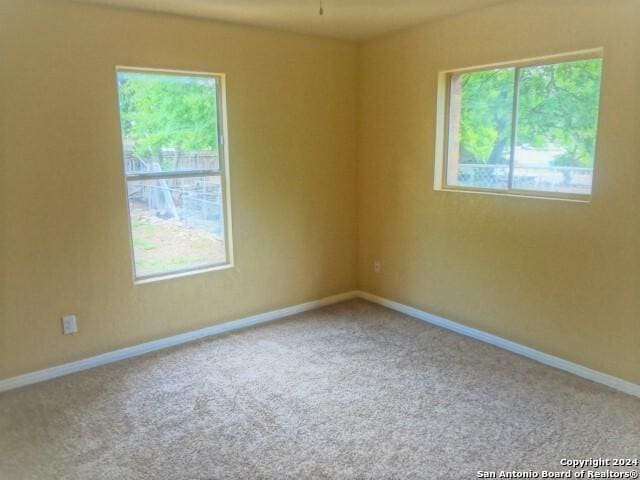 carpeted spare room with baseboards and plenty of natural light