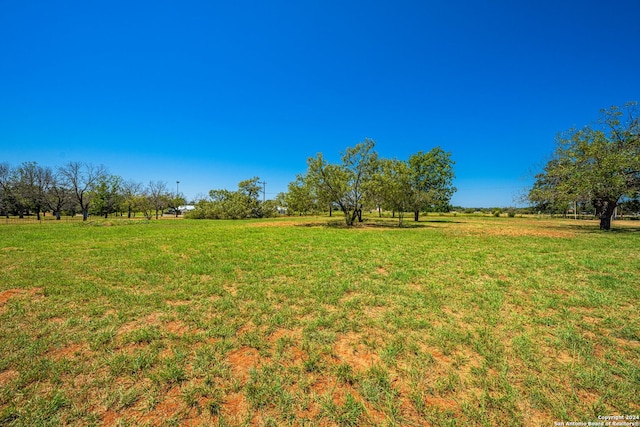 view of yard featuring a rural view