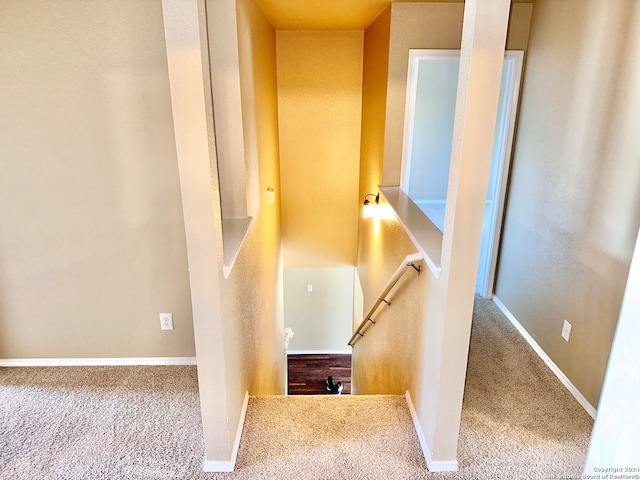 stairway featuring carpet flooring