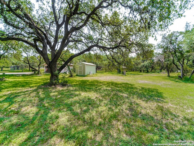 view of yard featuring a shed