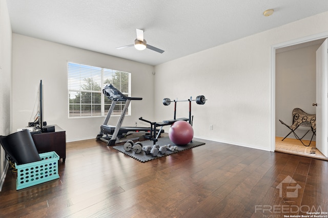 workout area featuring dark hardwood / wood-style floors and ceiling fan