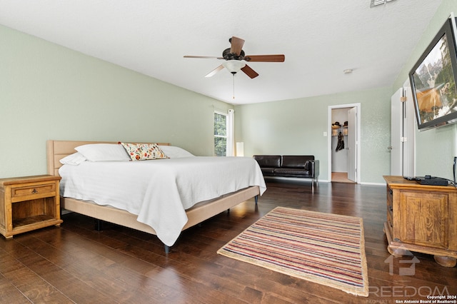 bedroom with dark hardwood / wood-style floors, ceiling fan, a walk in closet, and a closet