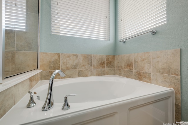 bathroom with a wealth of natural light and a washtub