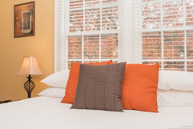 bedroom with carpet flooring