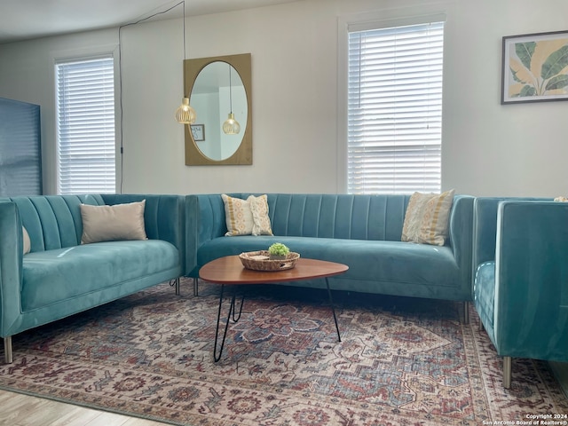 living room with hardwood / wood-style flooring