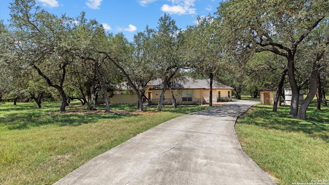 ranch-style house with a front yard