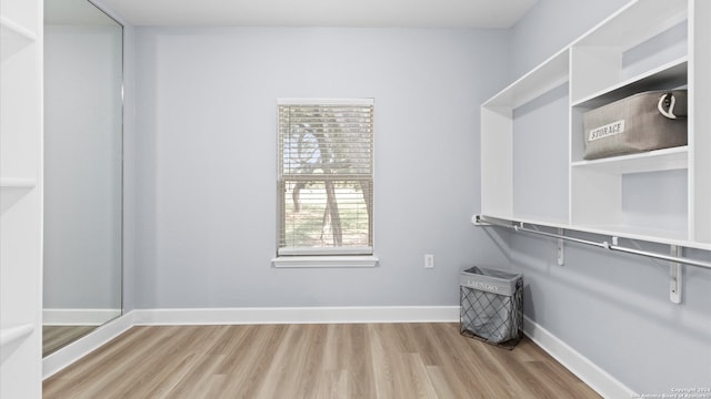 spacious closet with light hardwood / wood-style flooring