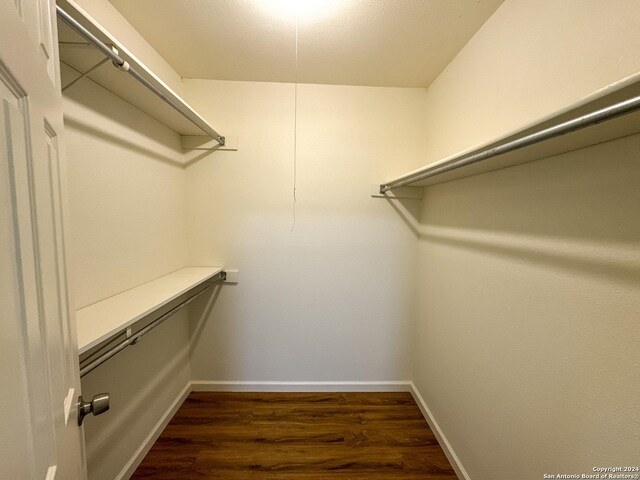 spacious closet featuring dark wood-type flooring