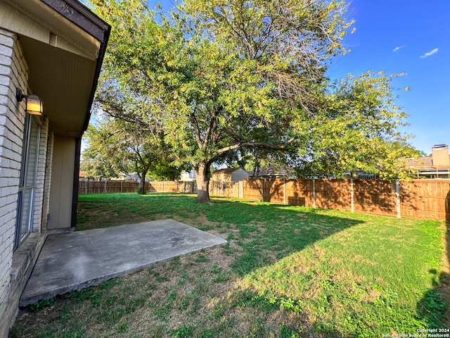 view of yard featuring a patio