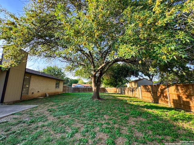 view of yard