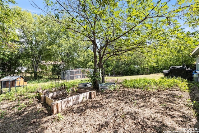 view of yard with a shed