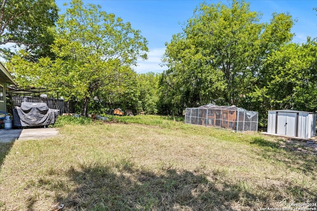 view of yard featuring a patio and a storage unit