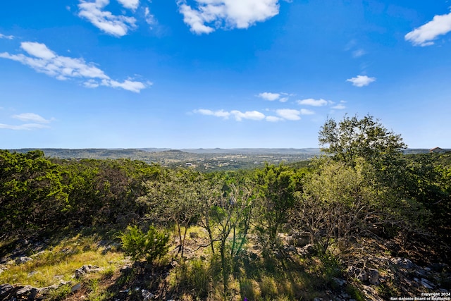 view of local wilderness