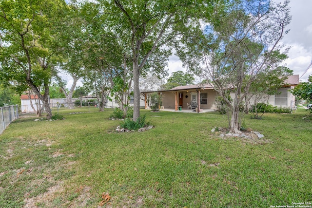 view of yard featuring a patio area