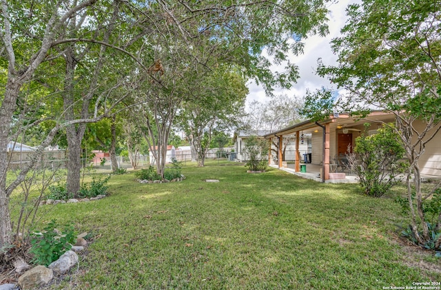 view of yard with a patio area