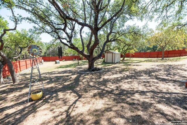 view of yard featuring a shed