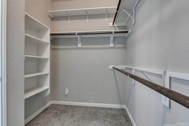 walk in closet featuring carpet flooring